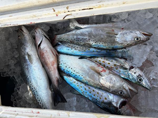 Fishing Report 10/01/26