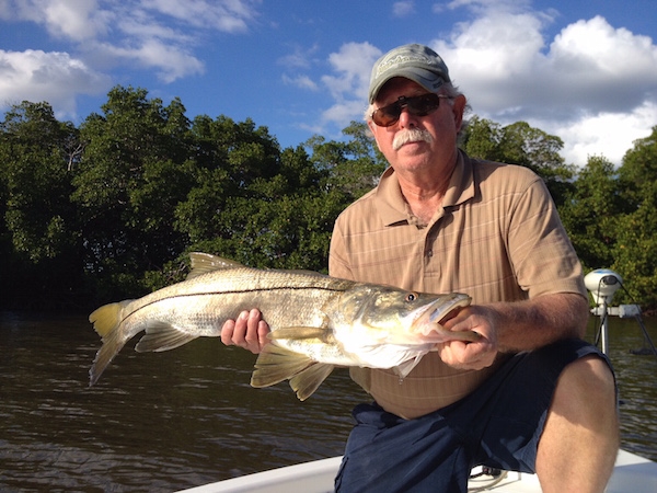Snook